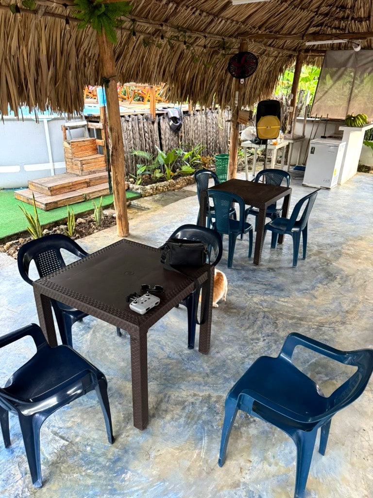 Zona de comidas
